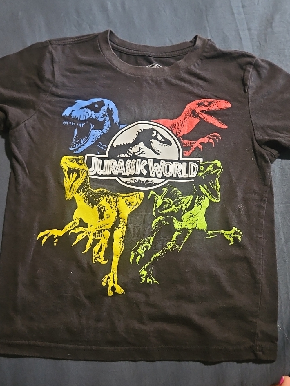 Jurassic World Kids' Black Short Sleeve Tee with Multicolor Raptors